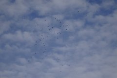 DSC01314