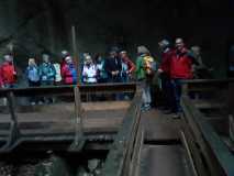 IMG-20230915-WA0008