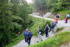wallfahrt_2025-12